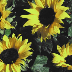 Meet your Posher, Simplyydovee